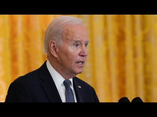 Joe Biden's 'mental sharpness' a major concern for voters