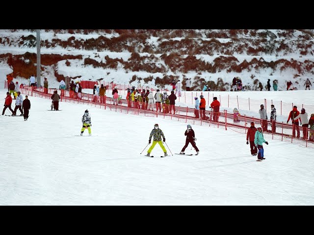 Live: Experience winter sports at Forlong Ski Resort in north China