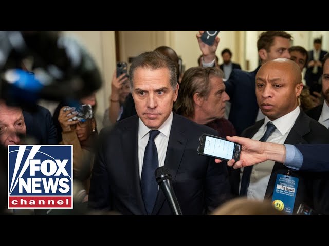 McEnany: Hunter Biden took a page out of Trump's playbook