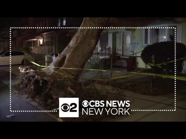 Wind may be to blame for tree falling on house and scaffolding collapse in Queens