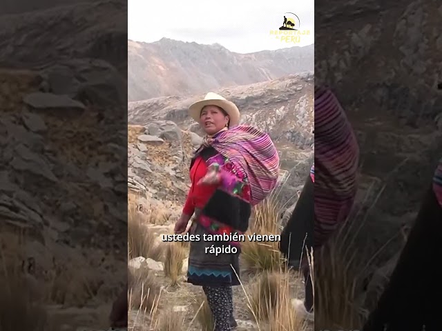 ¿#Pachamanca, alguien?  Mira este #short de #ReportajeAlPerú que #NosUne todos los domingos. #perú