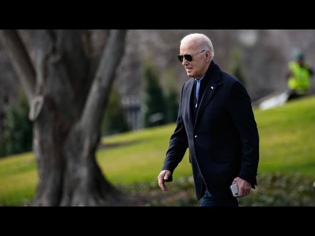 Joe Biden not 'faring well' in recent polls