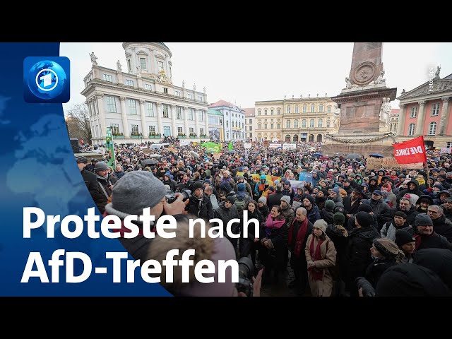 Proteste gegen AfD: Initiative will Artikel 18 des Grundgesetzes nutzen