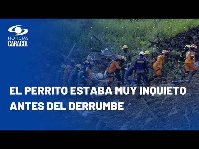 Ya son 36 los muertos por derrumbe en Chocó: hombre perdió a su esposa, hijo, cuñada y sobrina