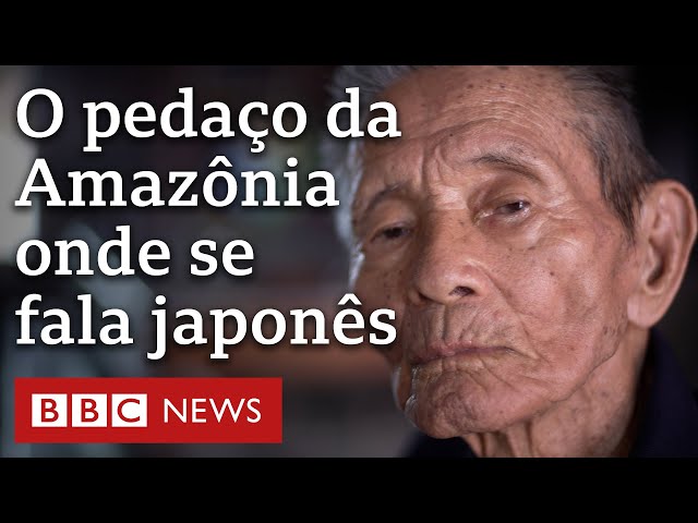 Colônia japonesa cria 'florestas de comida' no Pará e vira referência contra desmatamento