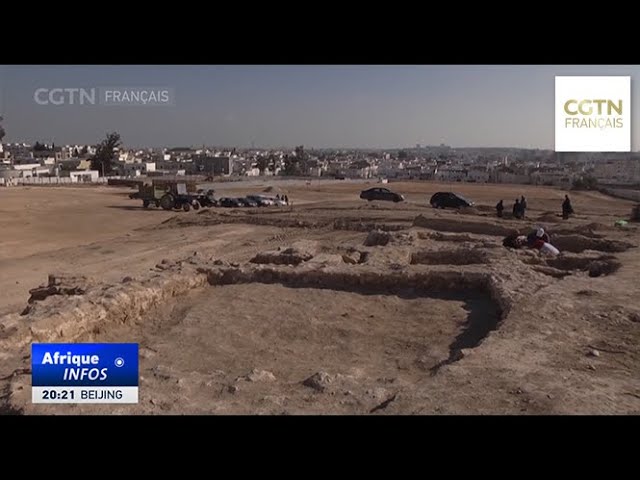 ⁣Des équipes chinoises et tunisiennes effectuent des fouilles archéologiques conjointes