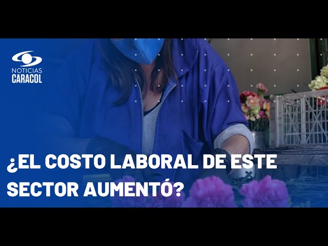 ¿Los floricultores están preocupados por el precio del dólar?