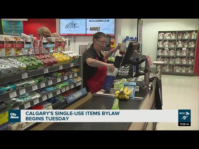 Calgary's single-use items bylaw begins Tuesday