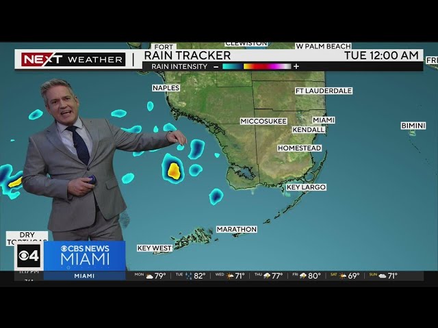 NEXT Weather forecast for Monday 1/15/24 11PM