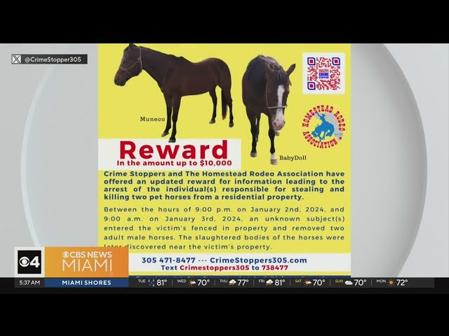 $10,000 reward for information on slaughter of two horses in SW Dade