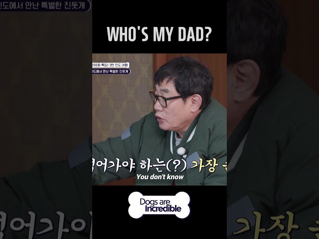 WHO'S MY DAD?  #Dogsareincredible #개는훌륭하다 #Ep202 | KBS WORLD TV 240116