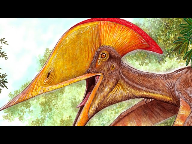 Scientists from China and Brazil uncover new species of pterosaur