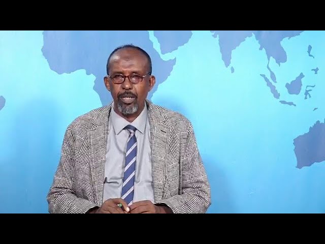 WARKA HABEEN EE SNTV 16.01.2024