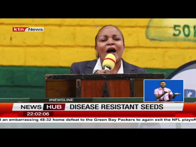 Government to unveil disease resistant seeds at local depot