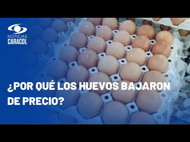 Reportan que precio de los huevos se ha reducido hasta en 40% en algunas regiones de Colombia