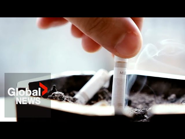 Tobacco use decreasing globally: World Health Organization