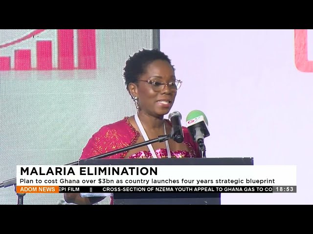 Malaria: Plan to cost Ghana over 3$bn as country launches four years strategic blueprint (16-1-24)