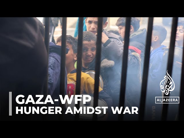 UN World Food Programme agency: ‘Everyone in Gaza is hungry’