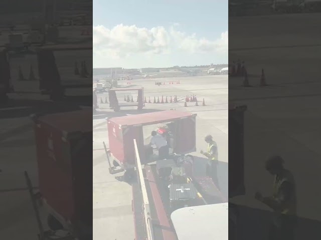 Pilot praised for assisting in loading luggage at short staffed airport #Shorts