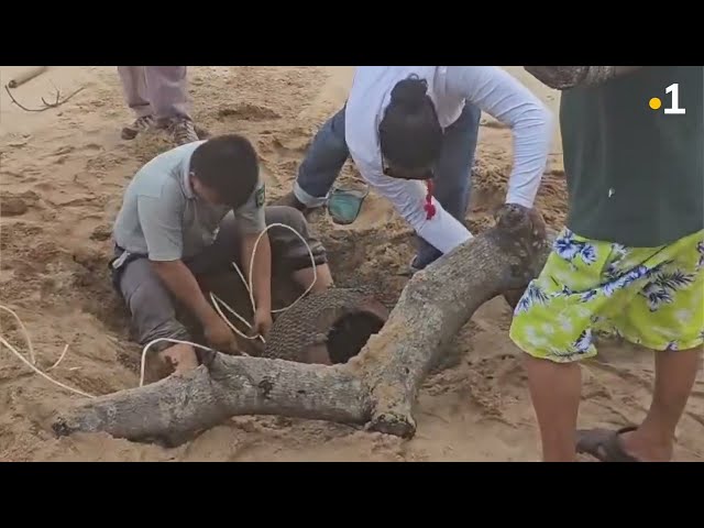 Une urne funéraire découverte sur la plage d’Awala-Yalimapo.