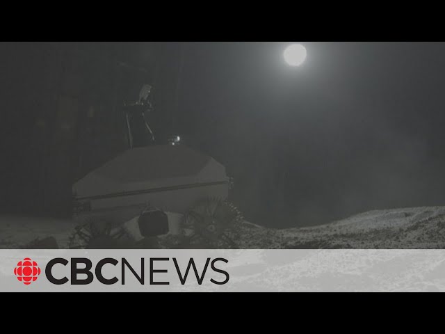 Lucky Ontario students experience what it's like to operate a lunar rover