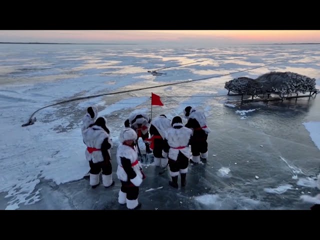 Hardy fishermen in Heilongjiang drop nets for Winter Fishing Festival