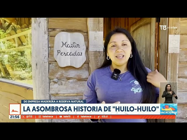 La asombrosa historia de "Huilo-Huilo": De empresa madera a reserva natural