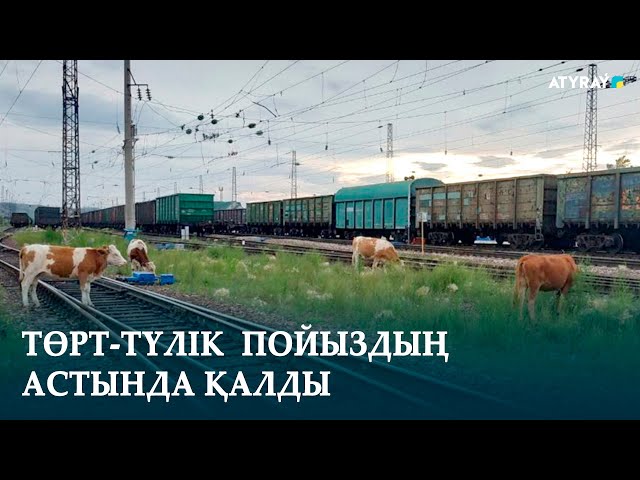 ТӨРТ-ТҮЛІК  ПОЙЫЗДЫҢ АСТЫНДА ҚАЛДЫ