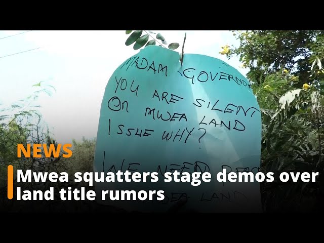 Mwea squatters stage demos over land title rumours