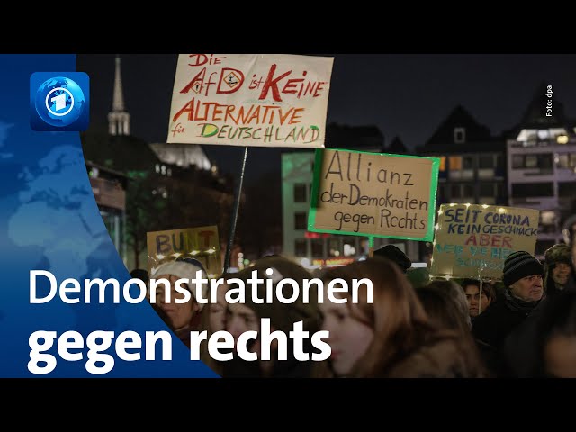 Protestwelle gegen Rechtsextremismus