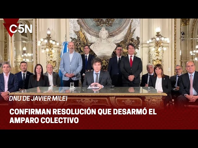 DNU de JAVIER MILEI: CONFIRMAN RESOLUCIÓN que DESARMÓ el AMPARO COLECTIVO