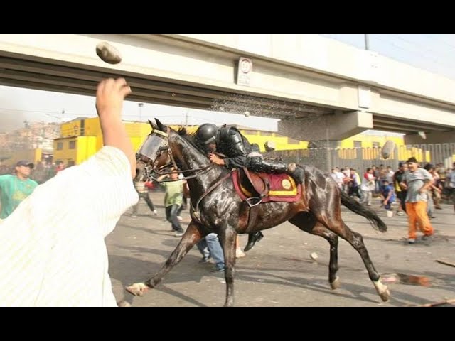 Animalistas exigen que los caballos dejen de ser usados por la PNP en eventos públicos