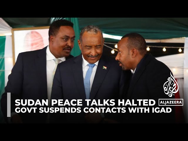 Sudan suspends contacts with IGAD mediating group: Foreign Ministry