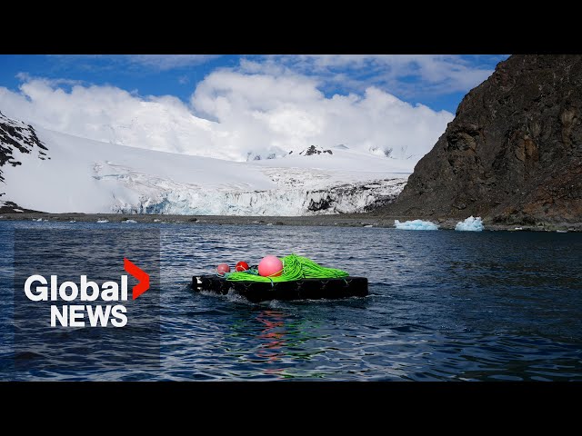 What's down there? Canadian university deploys Antarctic Ocean observatory