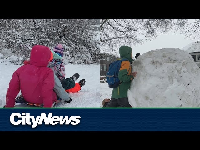 Metro Vancouver kids enjoy rare snow day