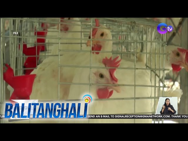 Dept. of Agriculture: Pag-import ng live birds at poultry products sa California at Ohio,... | BT