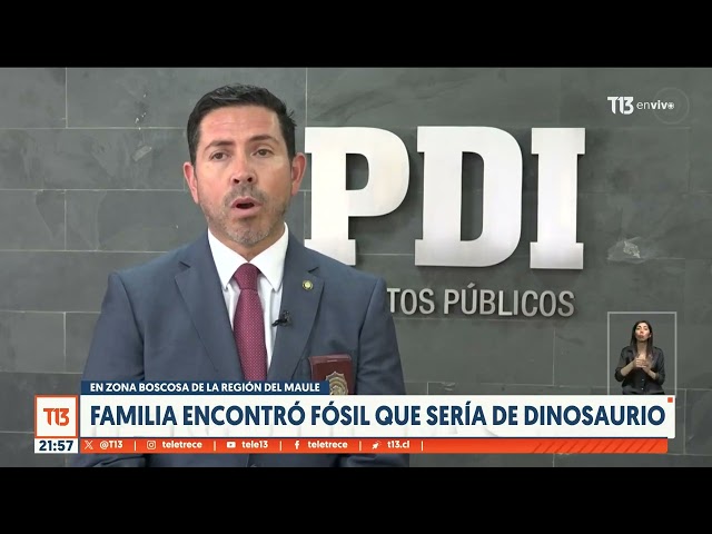 Familia exhibía fósiles de dinosaurios en TikTok: PDI recuperó más de 30 fragmentos