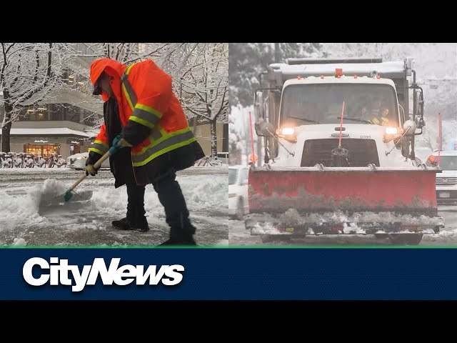 Metro Vancouver braves snowstorm, turns to other modes of transport