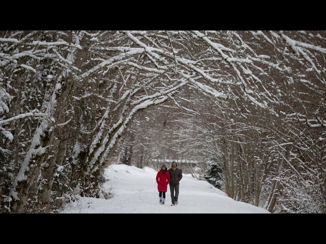 What to expect as parts of Canada remain in deep freeze | Snowfall in B.C.