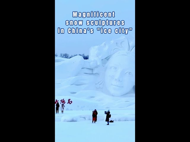 Magnificent snow sculptures in China's "ice city"