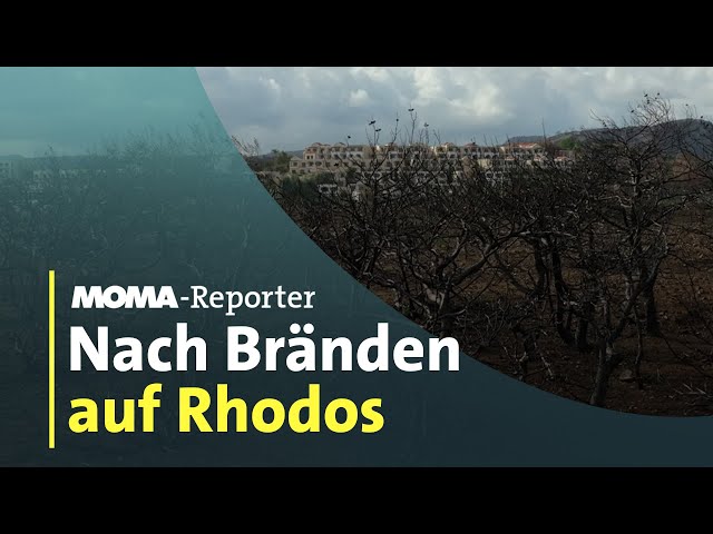 Rhodos: Sechs Monate nach den Bränden | ARD-Morgenmagazin