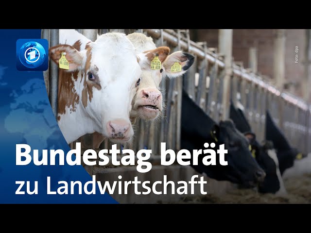 Debatte im Bundestag zu Erleichterungen für die Landwirtschaft