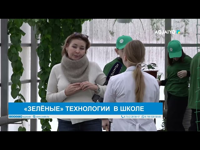 ⁣«ЗЕЛЁНЫЕ» ТЕХНОЛОГИИ  В ШКОЛЕ