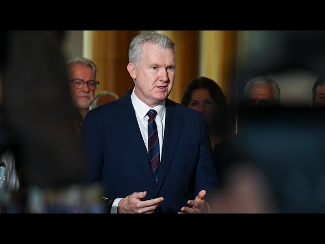 Tony Burke criticises head of DP World Australia