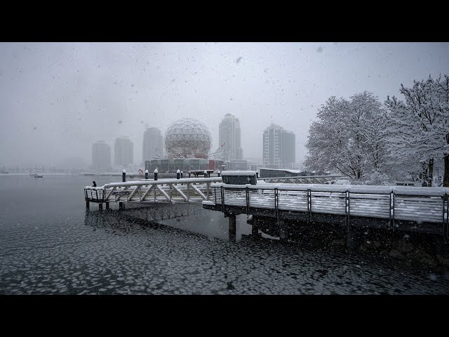 36 people died outside in B.C. amid record cold: coroner