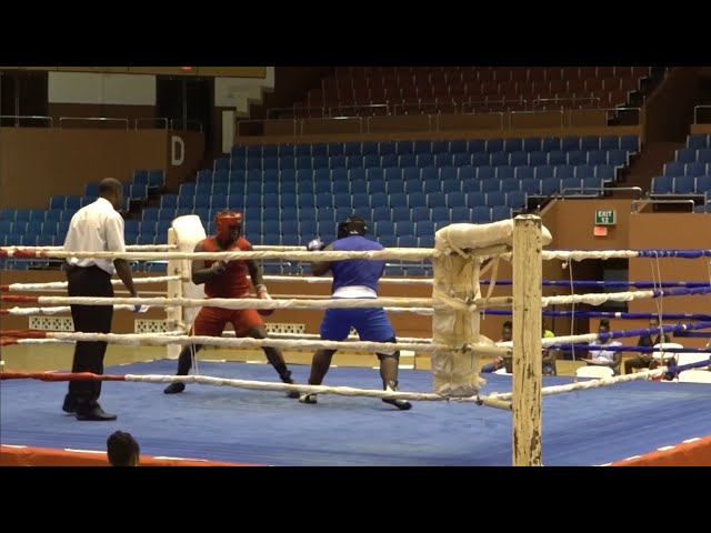 Hopes for local boxers to go pro