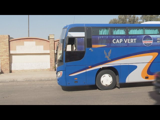 De manhã à noite: os bastidores da vitória de Cabo Verde no arranque do CAN de Andebol