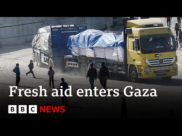 Israel-Gaza: Aid package delivered to people in Gaza | BBC News