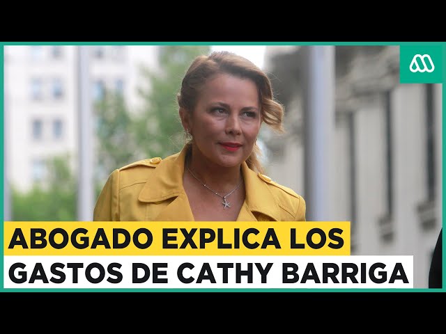 Arraigo nacional y arresto domiciliario para Cathy Barriga: Abogado explica gastos de la exalcaldesa