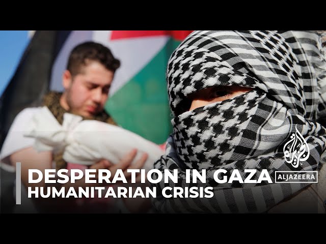 Desperation in Gaza: Palestinians face dire humanitarian crisis